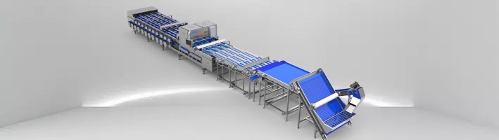 CLASSIFICADOR DE CORES DE DATA