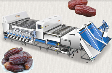 Máquinas de classificação de cores com IA: redefinindo a qualidade no processamento de alimentos.