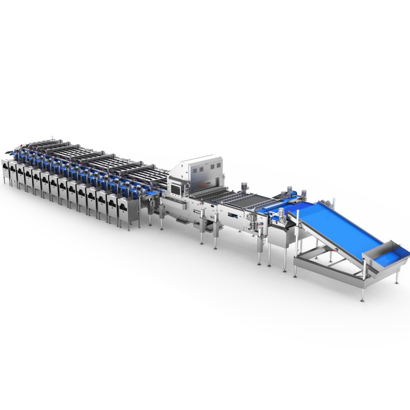 blueberry Grading Machine